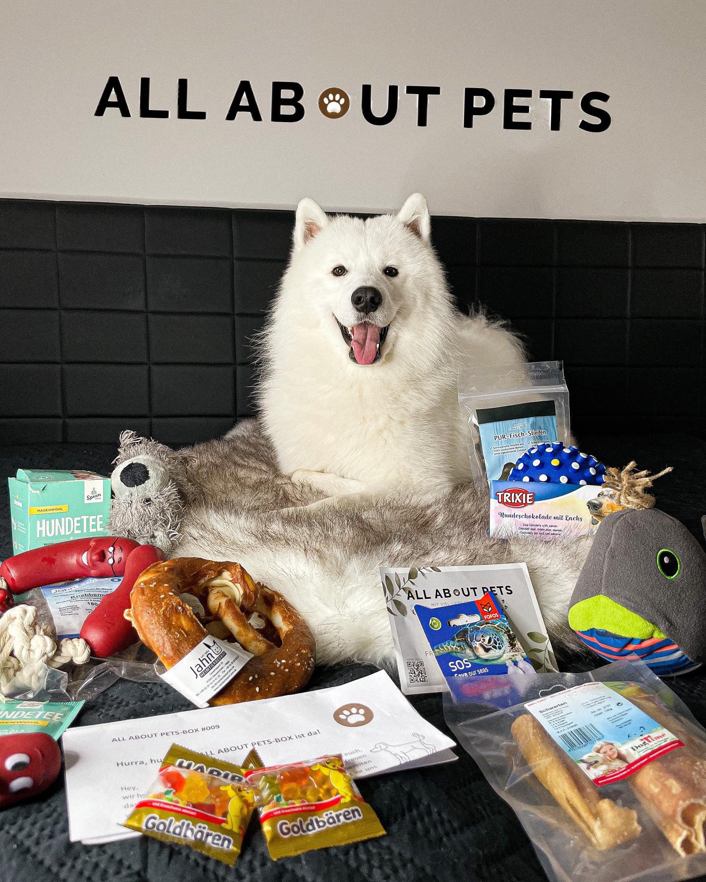 ALL ABOUT PETS-Box (einmalig)